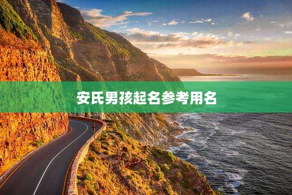 安氏男孩起名参考用名