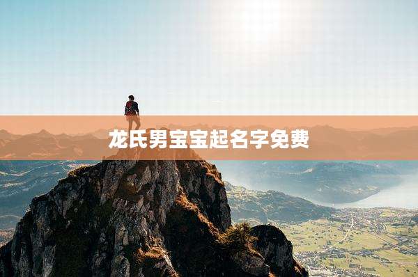 龙氏男宝宝起名字免费