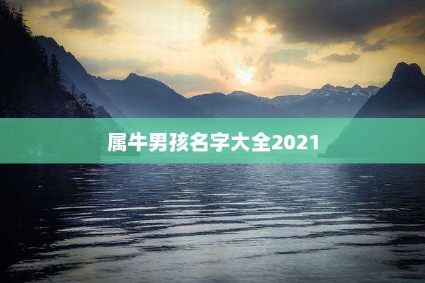 属牛男孩名字大全2021
