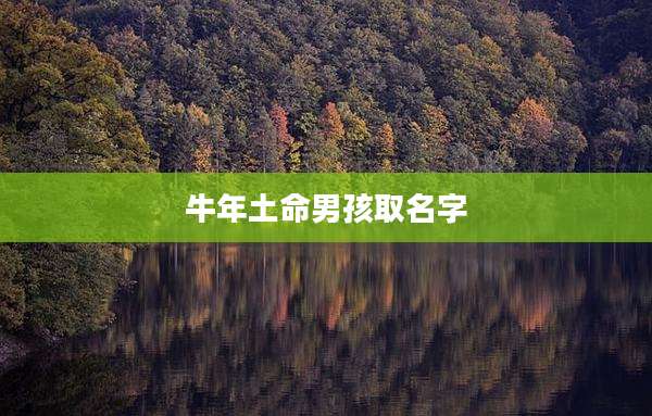 牛年土命男孩取名字