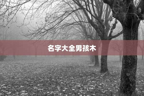 名字大全男孩木
