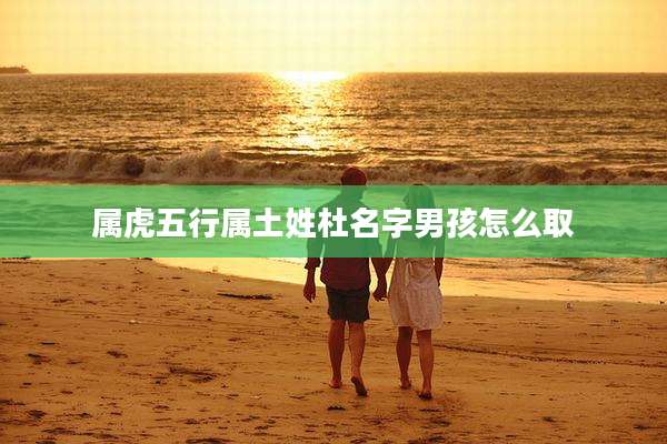 属虎五行属土姓杜名字男孩怎么取