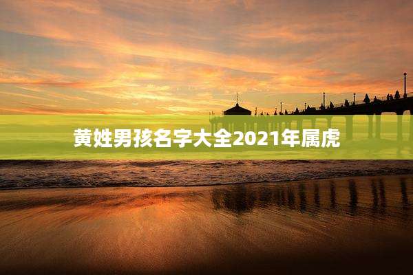 黄姓男孩名字大全2021年属虎