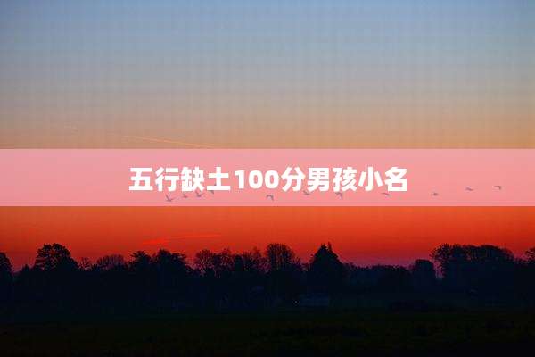 五行缺土100分男孩小名