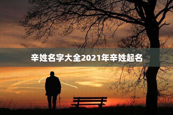 辛姓名字大全2021年辛姓起名