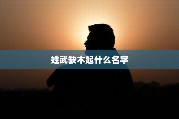 姓武缺木起什么名字