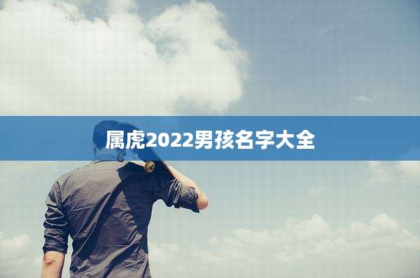 属虎2022男孩名字大全