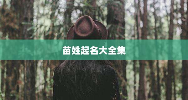 苗姓起名大全集