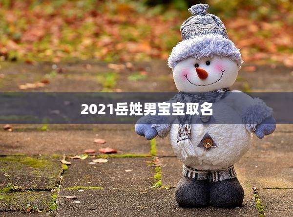 2021岳姓男宝宝取名