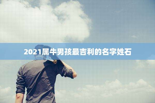2021属牛男孩最吉利的名字姓石