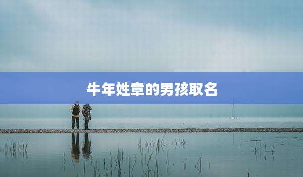 牛年姓章的男孩取名