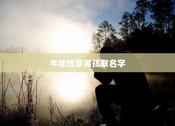 牛年姓廖男孩取名字