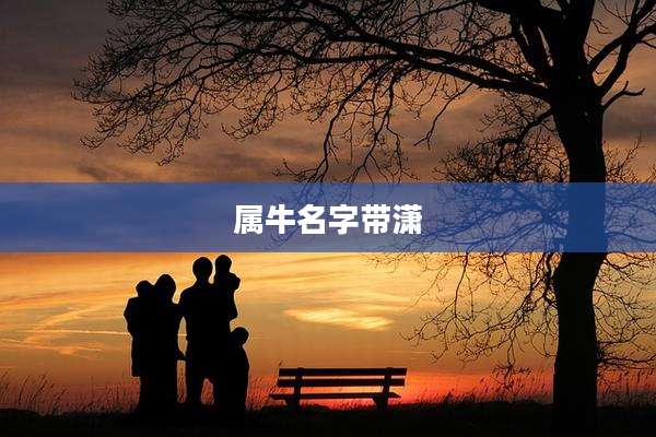 属牛名字带潇