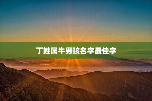 丁姓属牛男孩名字最佳字