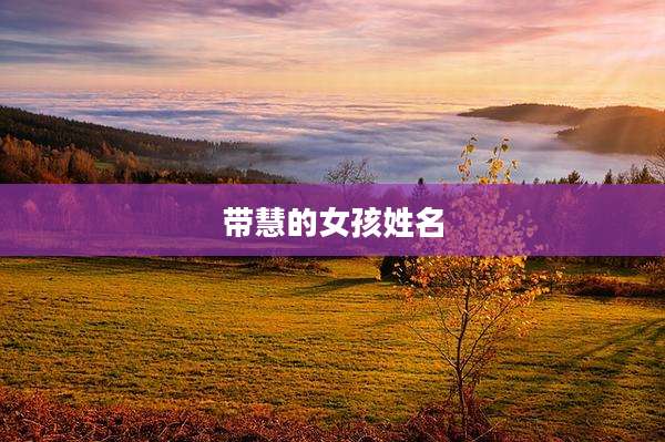 带慧的女孩姓名