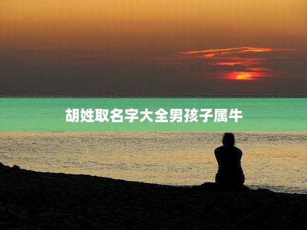 胡姓取名字大全男孩子属牛