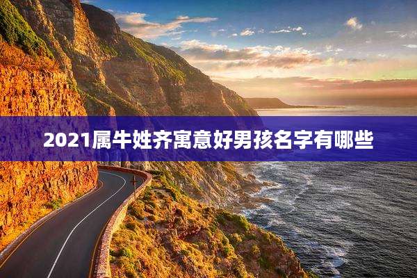 2021属牛姓齐寓意好男孩名字有哪些