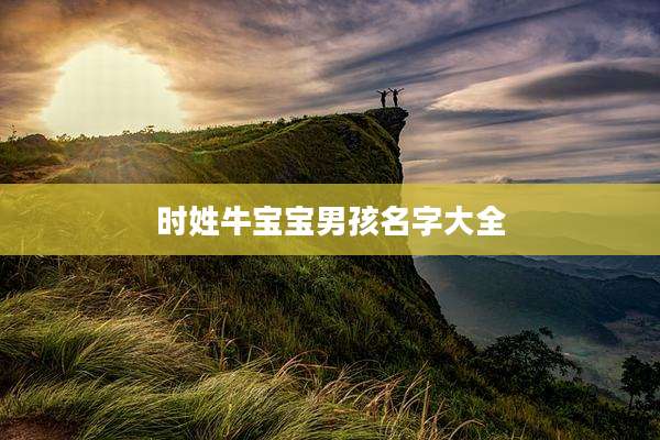时姓牛宝宝男孩名字大全