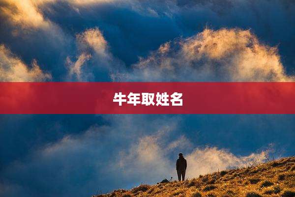 牛年取姓名