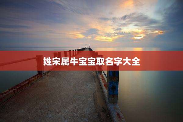 姓宋属牛宝宝取名字大全