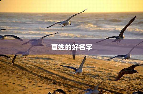 夏姓的好名字