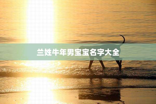 兰姓牛年男宝宝名字大全