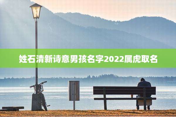 姓石清新诗意男孩名字2022属虎取名