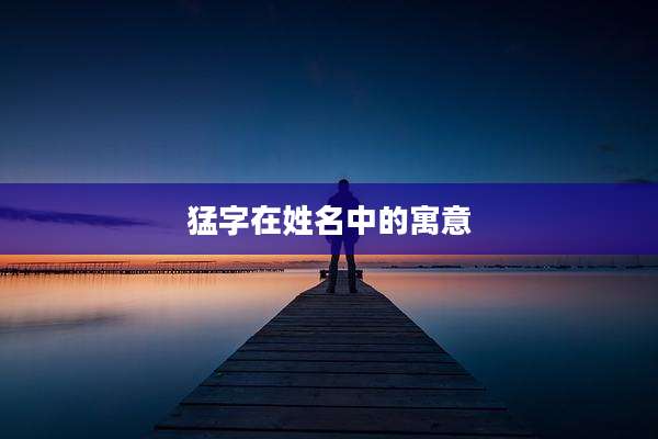 猛字在姓名中的寓意