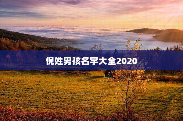 倪姓男孩名字大全2020