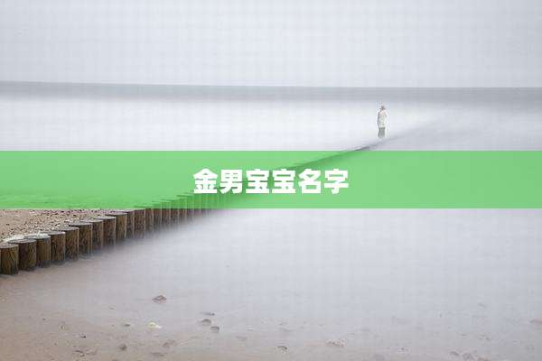 金男宝宝名字