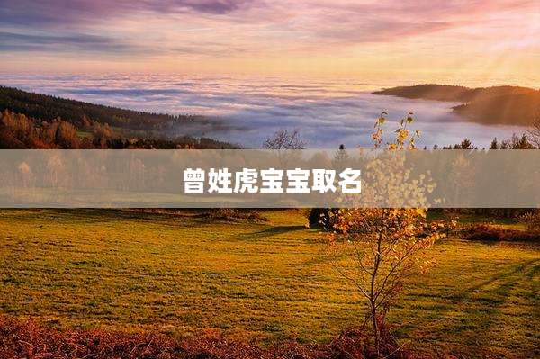 曾姓虎宝宝取名