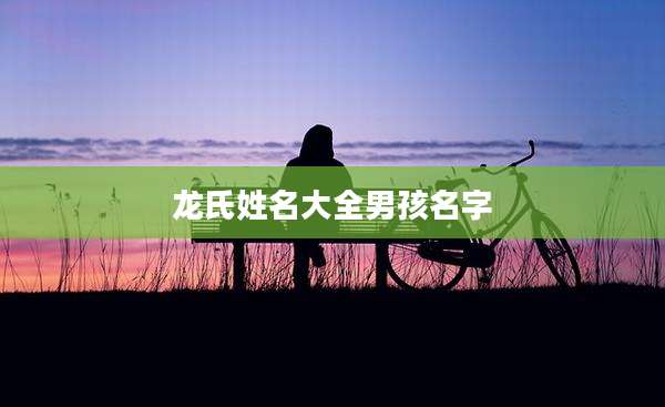 龙氏姓名大全男孩名字