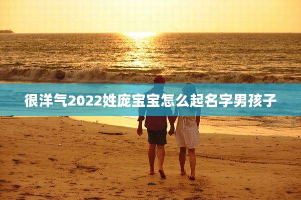 很洋气2022姓庞宝宝怎么起名字男孩子