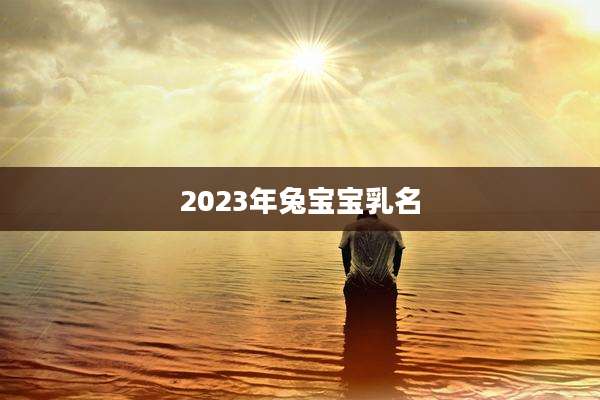 2023年兔宝宝乳名