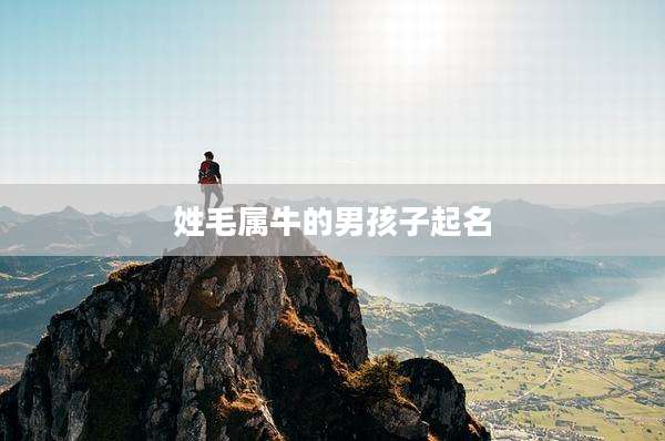 姓毛属牛的男孩子起名
