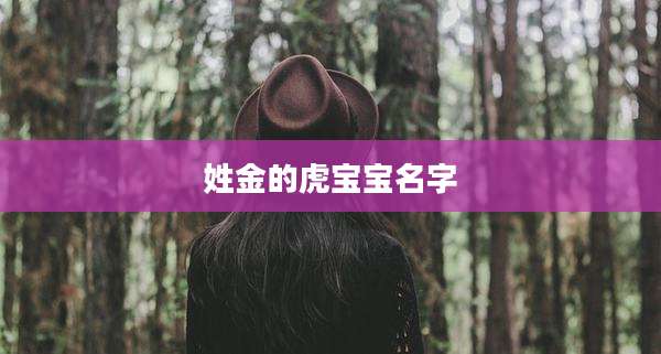 姓金的虎宝宝名字