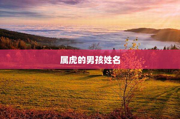 属虎的男孩姓名