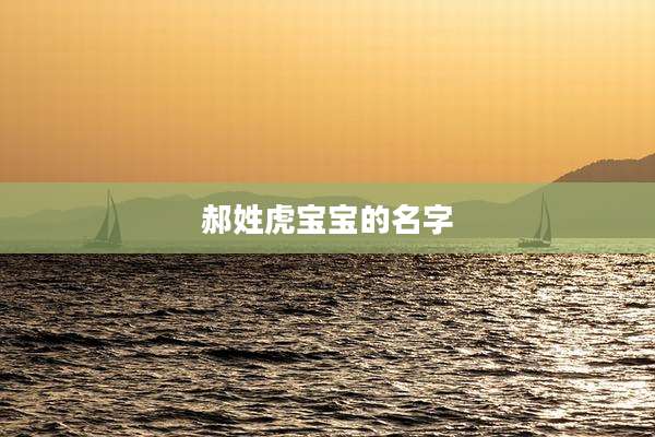 郝姓虎宝宝的名字