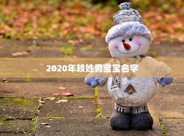 2020年赖姓男宝宝名字