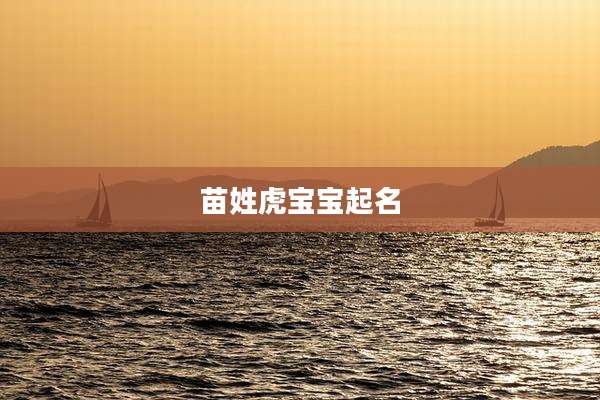 苗姓虎宝宝起名