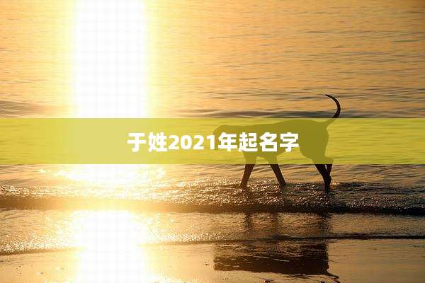 于姓2021年起名字
