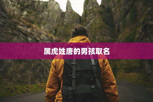 属虎姓唐的男孩取名