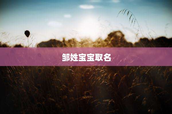 邹姓宝宝取名