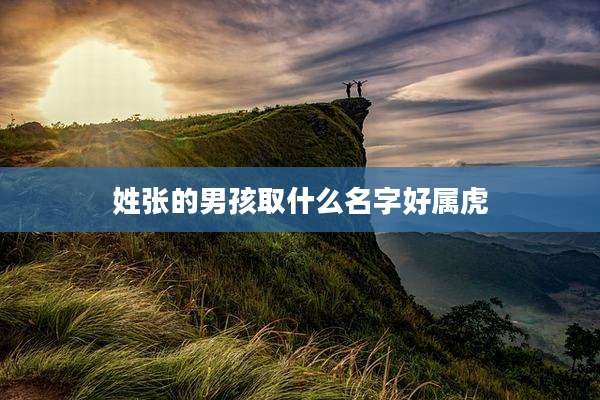 姓张的男孩取什么名字好属虎