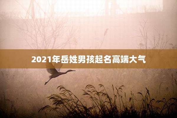 2021年岳姓男孩起名高端大气