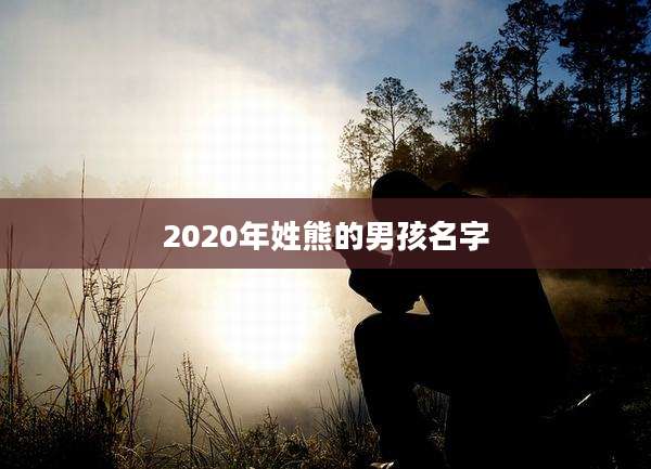 2020年姓熊的男孩名字