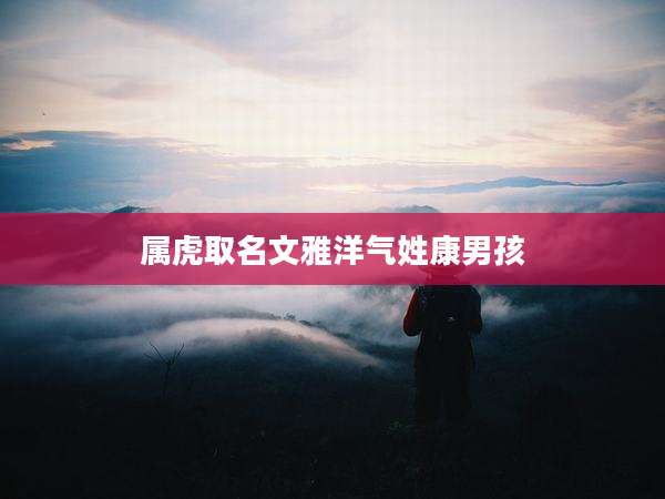 属虎取名文雅洋气姓康男孩