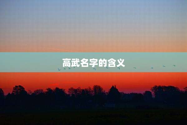 高武名字的含义