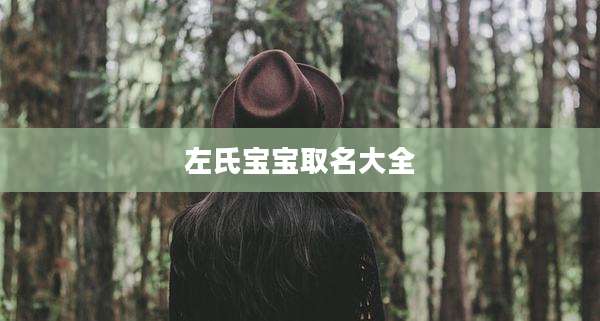 左氏宝宝取名大全