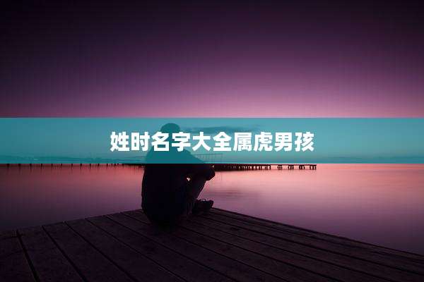 姓时名字大全属虎男孩